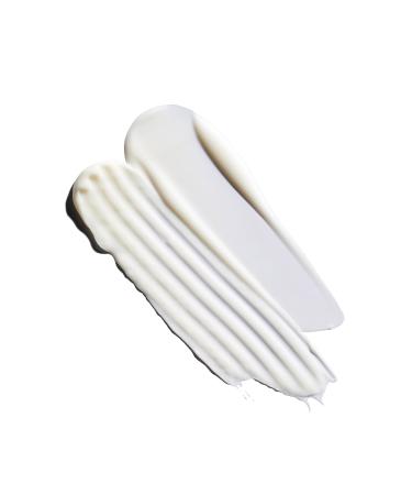 Aveda Nutriplenish Light Moisturizing Conditioner Travel Size 50ml 018084014363 - Buy Online on GoSupps.com