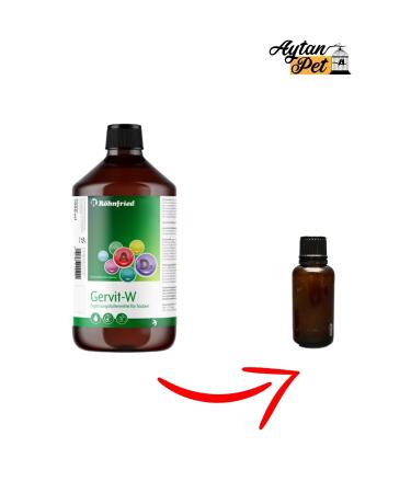 R hnfried Gervit-w Multivitamin Supplement 30 Ml (divided) - Buy Online on GoSupps.com