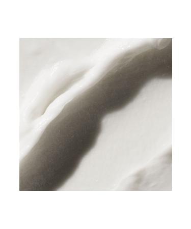 Aveda Botanical Repair Repair Mask for Damaged Hair: Rich Texture 25ml 18084020807 - Buy Online on GoSupps.com