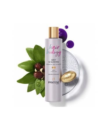 Pantene Hair Biology Anti-Orange Silver/Purple Shampoo For Blonde Hair 250ml - Buy Online on GoSupps.com