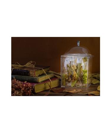 Secret Village Plexiglass Storage Box 36 Organic Tea Linden Thyme Black Pepper Chamomile and Yayla Sage