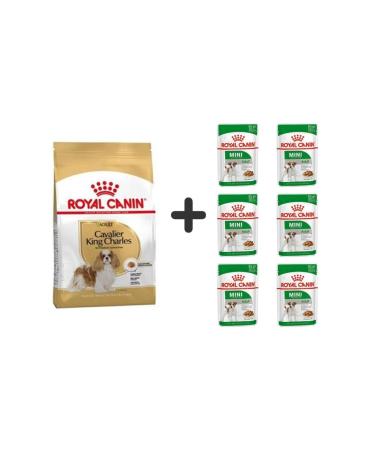 Royal Canin Cavalier King Charles Adult Dog Food 1.5 Kg + 6 Pieces Wet Food