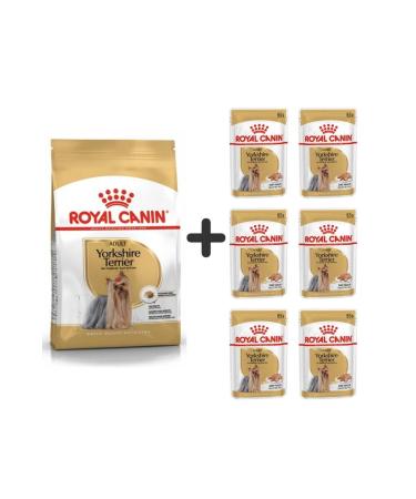 Royal Canin Yorkshire Terrier Dog Food 1.5 Kg + 6 Pieces Wet Food