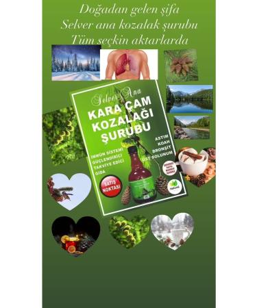 Selver Ana Pine Cone Syrup - Buy Online on GoSupps.com