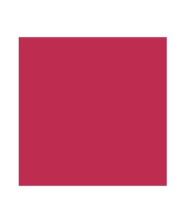 Max Factor Lipfinity Liquid Lipstick 190 Indulgent - Buy Online on GoSupps.com