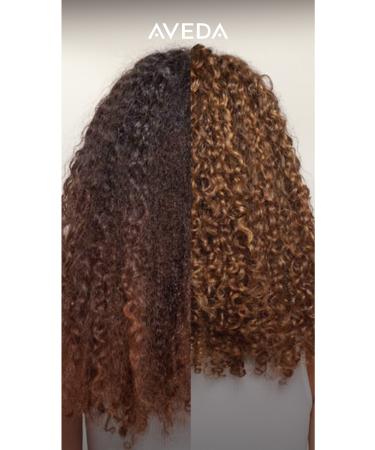 Aveda Travel Size Nutriplenish Light Moisturizing Mask for Dry Hair 25 ml 018084036013 - Buy Online on GoSupps.com