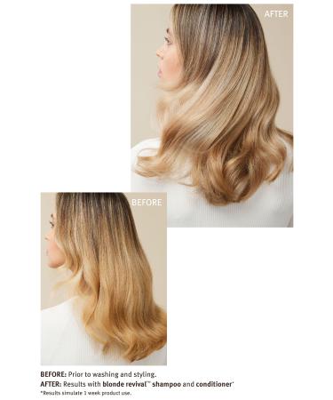 Aveda Blonde Revival Purple Conditioner 200ml 018084030431 - Buy Online on GoSupps.com