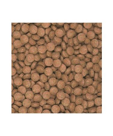 Tropical 500 Gram Supervit B Tablets - Tablet Fish Food
