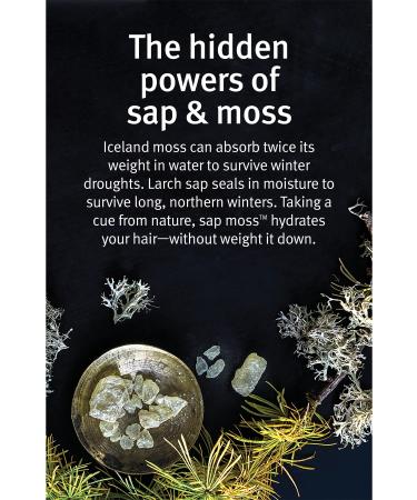 Aveda Sap Moss Weightless Hydration Shampoo 200ml 018084001929 - Buy Online on GoSupps.com