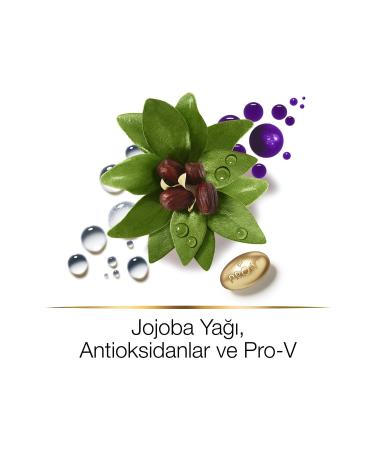 Pantene Hair Biology Anti-Orange Silver/Purple Shampoo For Blonde Hair 250ml x3 - Buy Online on GoSupps.com