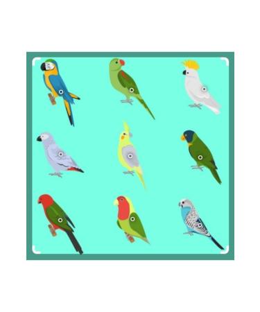 Bereketlimama Plain Safflower 5 kg - Buy Online on GoSupps.com