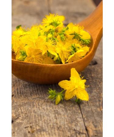 RETURN TO THE AEGEAN Traditional Pure St. John's Wort Oil - 100 Ml. (drinkable and spreadable - Massage - Skin Care) - Buy Online on GoSupps.com
