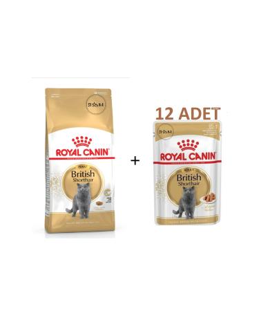 Royal Canin British Shorthair Adult Cat Food 4 Kg + British Shorthair Pouch Wet Food 85 Gr X12