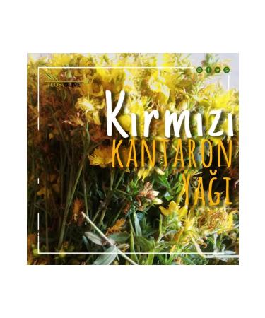 ZEYT N HANIM Red St. John's Wort Oil 250 Ml (Dissolved in Olive Oil with Polyphenols) - Buy Online on GoSupps.com