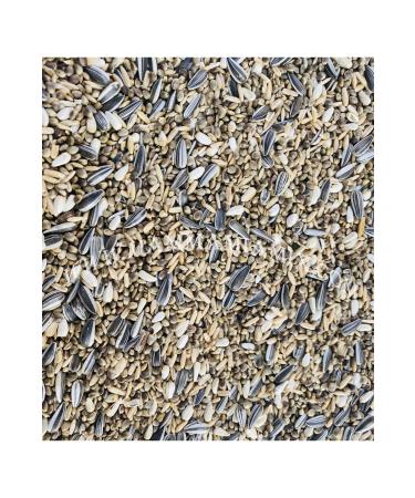 mn mammamia mix 2 Pack Forpus 4 Seasons Food Pack 900 gr - Buy Online on GoSupps.com