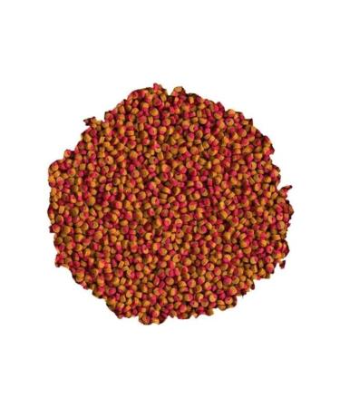 Tetra Cichlid Color Mini 250 gr