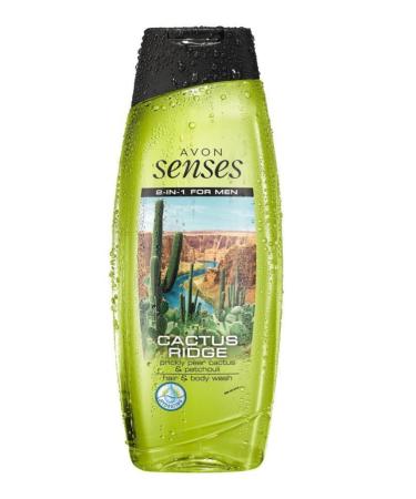 Avon Cactus Ridge Hair and Body Shampoo for Men 250 ml.