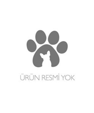 Royal Canin Adult Cat Food for Persian Cats 2kg