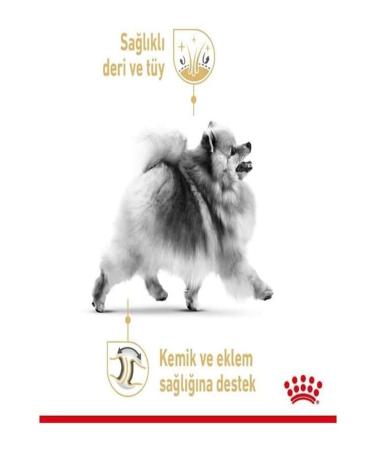 Royal Canin Pomeranian Adult Dog Food 1.5 Kg - Buy Online on GoSupps.com