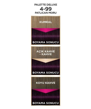 Palette Deluxe Hair Dye 4-99 Eggplant Purple X 2 Pieces - Buy Online on GoSupps.com