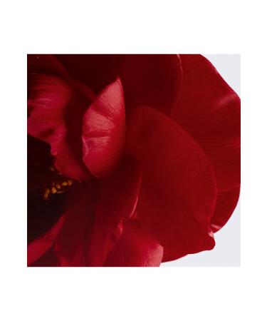 Chanel N 1 De Lip & Cheek Balm - Buy Online on GoSupps.com