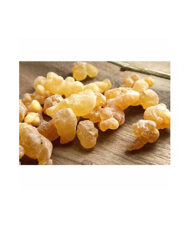 Aktarlife 2500 Gr Daily Gum