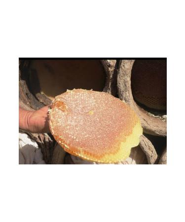 OZMU HONEY From Sivas 500gr Black Hive for Trial