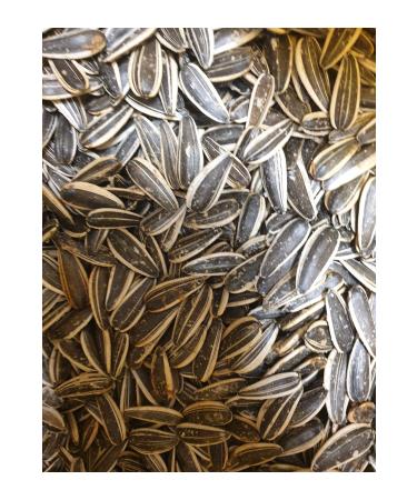 KARKAR NUTS Sunflower Seeds