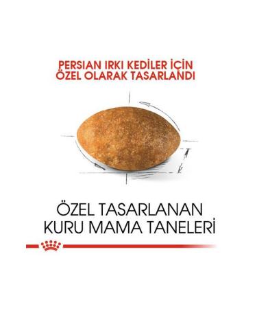 Royal Canin Persian Adult Cat Food - 4 Kg - Buy Online on GoSupps.com