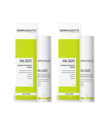 Dermaceutic Hyal Ceutic 40 Ml - Intensive Moisturizing Cream 2 Pieces