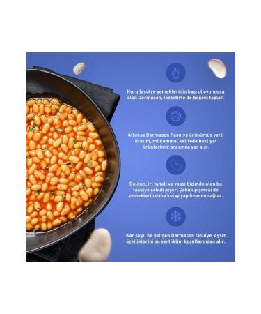 Altunsa Bean Dermason Local 900 GX 2 Pieces - Buy Online on GoSupps.com