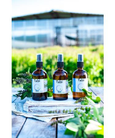 Ruzi Herbal Tulsi (INDIAN BASIL) Hydrosol 100 ml | |