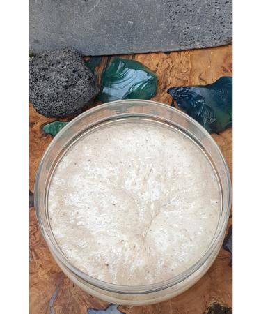 nazillidenorganic Sourdough 150g