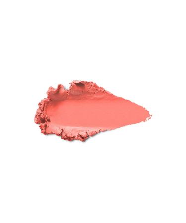 KIKO ST CK ALLIK - VELVET TOUCH CREAMY ST CK BLUSH 03 CORAL ROSE 10 G 8025272604925 - Buy Online on GoSupps.com
