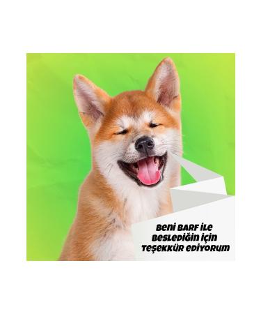 BARFTR Gold Barf 6 Kg Dog Food - Buy Online on GoSupps.com