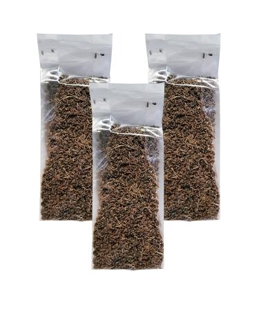 Ginger Organic Anise 3 Pack Anise Seed Dried Anise Plant Seed