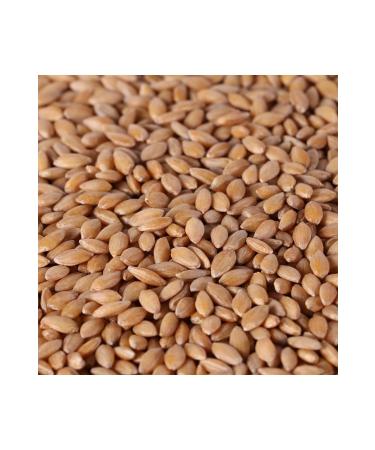 CAPPADOCIA Heirloom Einkorn Flour 2kg - Buy Online on GoSupps.com