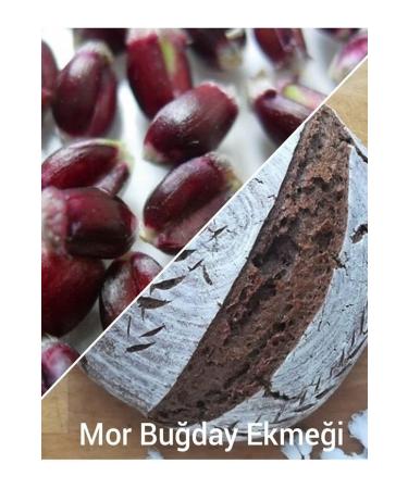 CAPPADOCIA Einkorn Flour 1 Kg + Purple Wheat Flour 1 Kg - Buy Online on GoSupps.com