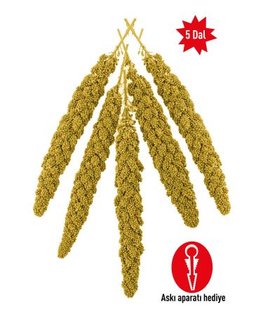 Vitafix Natural Millet - Millet for All Cage Birds - Bird Food - Suitable for Consumption of Young Birds