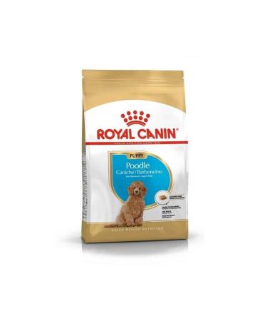 Royal Canin Poodle Puppy Breed Food 3 Kg x 2 Pieces