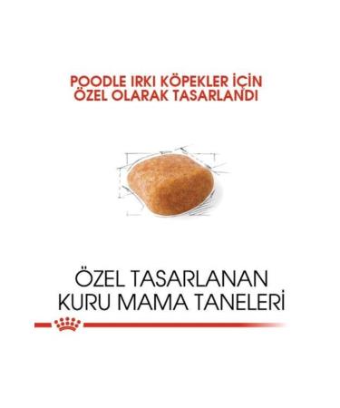 Royal Canin Poodle Adult Dog Food 3 kg - Buy Online on GoSupps.com