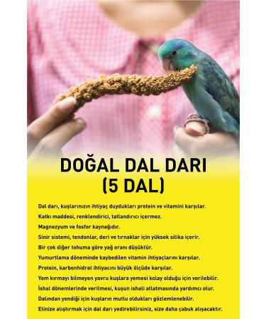 Vitafix Natural Millet - Millet for All Cage Birds - Bird Food - Suitable for Consumption of Young Birds - Buy Online on GoSupps.com