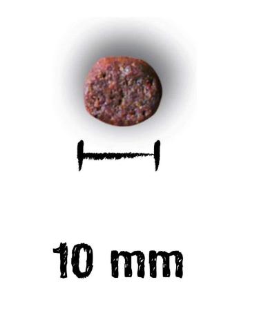 LEONARDO Adult Fish 2 Kg Salmon Cat Dry Food for Adult Cats - Buy Online on GoSupps.com