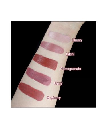 Lush Studio Nude Lip Pigment 2ml Lip Contour Paint Permanent Makeup Paint - Buy Online on GoSupps.com