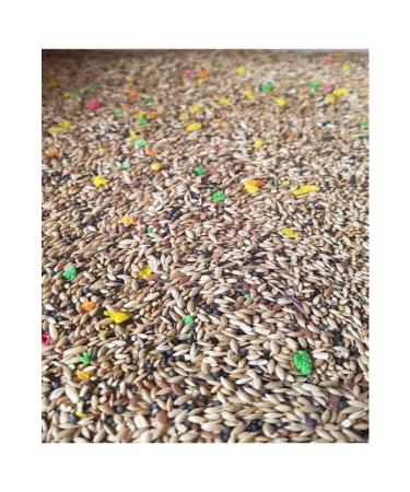 Bereketlimama Mixed Canary Bird Food -Special Mix- 5 Kg - Buy Online on GoSupps.com