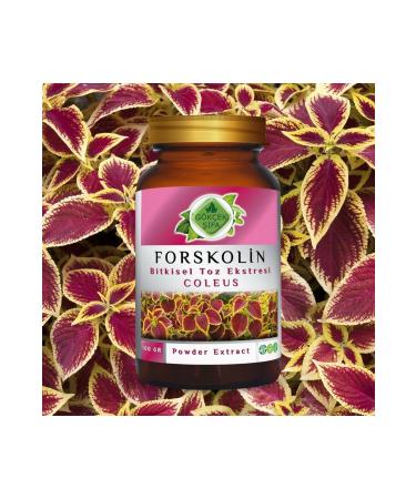 Gokcek Healing Forskolin Powder Extract 100 Gr. Glass Jar - Buy Online on GoSupps.com