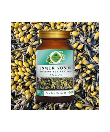 Gokcek Healing Fucus Powder Extract 100 Gr. Glass Jar - Buy Online on GoSupps.com