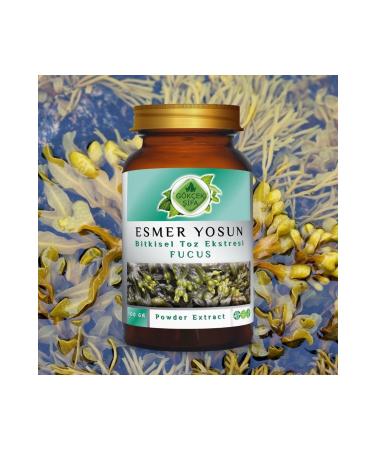 Gokcek Healing Fucus Powder Extract 100 Gr. Glass Jar