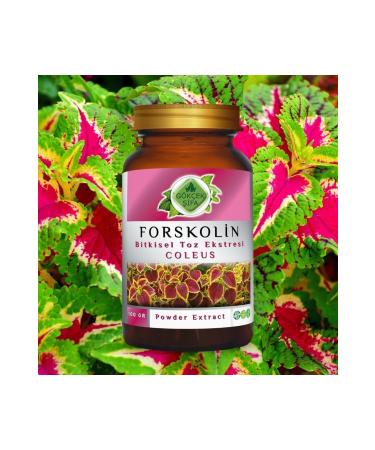 Gokcek Healing Forskolin Powder Extract 100 Gr. Glass Jar - Buy Online on GoSupps.com