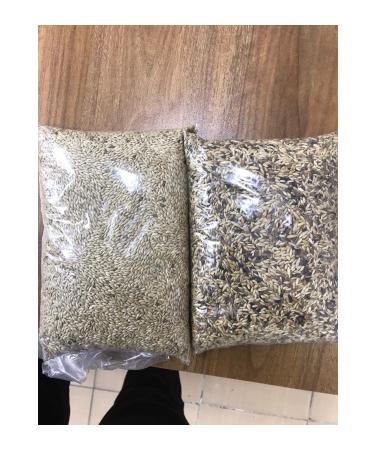 gemizleraquarium Canary Food 2 Kg Mixed